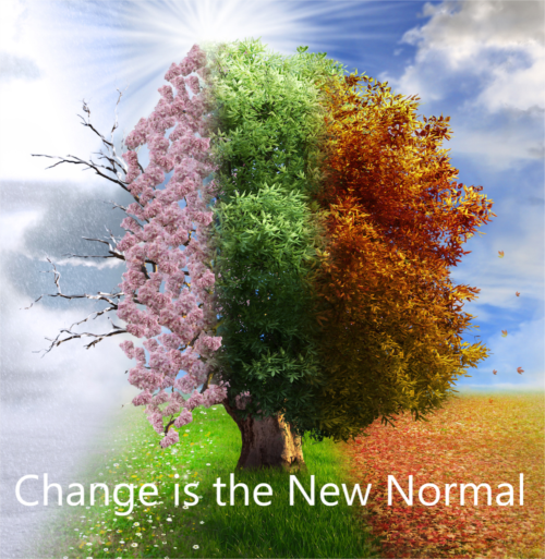 Change is the New Normal Pic.png