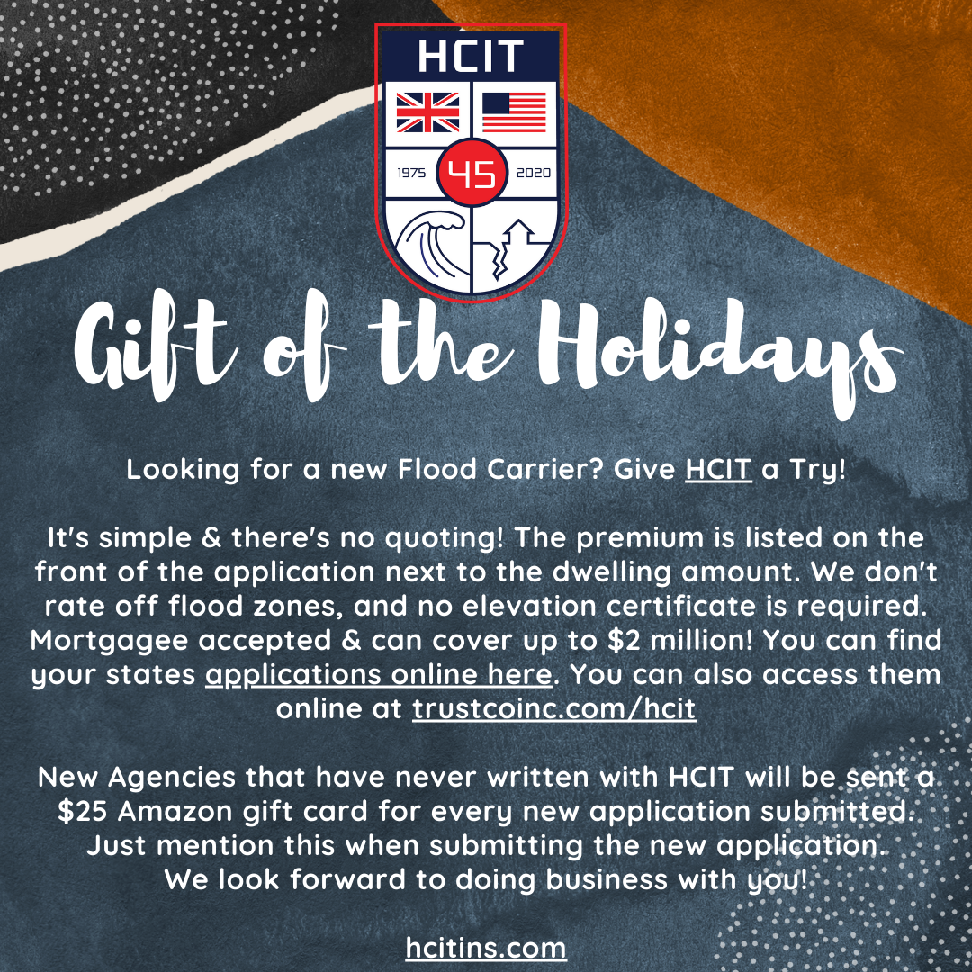 HCIT Holiday Offer.png